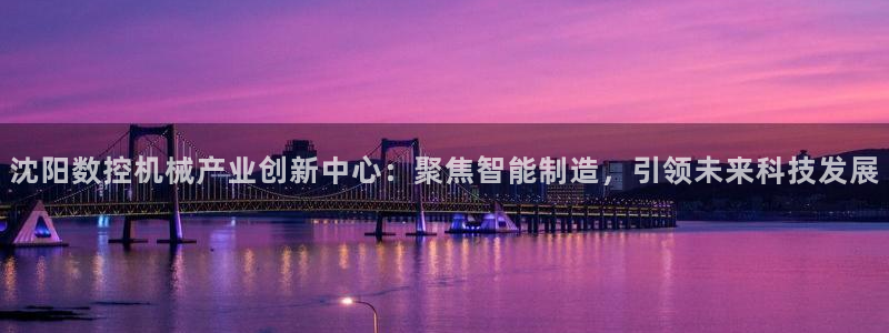 天辰娱乐44516:沈阳数控机械产业创新中心:聚焦智能制造,引领未来科技发展