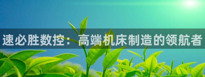 天辰娱乐台湾