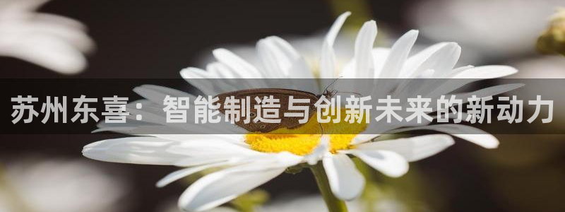 天辰娱乐天辰注册登录：苏州东喜：智能制造与创新未来的新动力