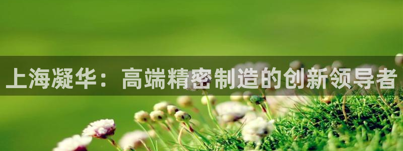 天辰娱乐 . 鱼刺