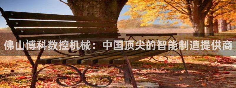 天辰娱乐在哪：佛山博科数控机械：中国顶尖的智能制造提供商