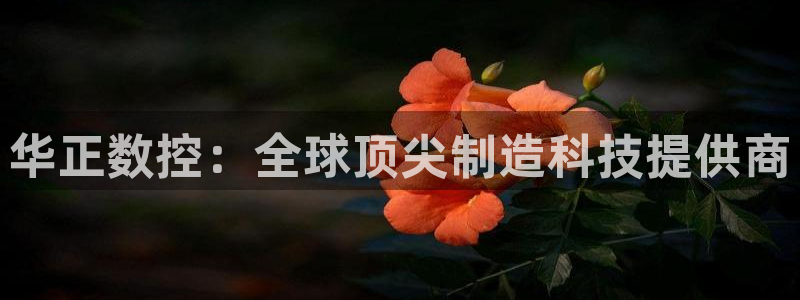 天辰娱乐官网平台入口