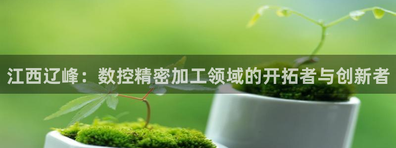 天辰娱乐会员：江西辽峰：数控精密加工领域的开拓者与创新者