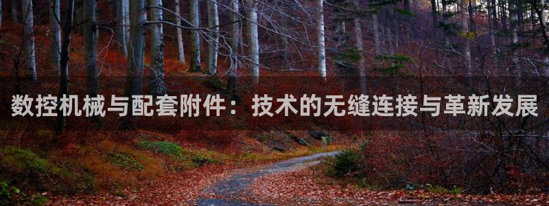 天辰娱乐解封：数控机械与配套附件：技术的无缝连接与革新发展